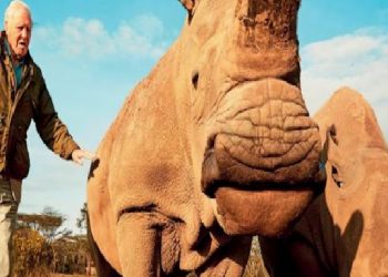 BİR BAŞKA GEZEGEN YOK!