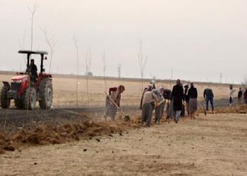 YVES ROCHER VAKFI 30 BİN AĞAÇ DİKİYOR!