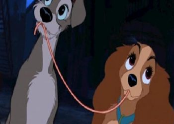 ÇOCUKLUĞUMUZA YOLCULUK: EN İYİ 15 DISNEY FİLMİ