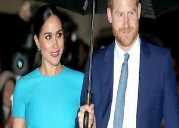 SUSSEX ÇİFTİ BİR ZOOM DERSİNE KATILDI