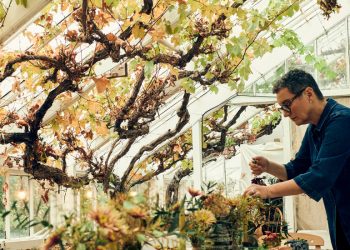 İngiliz Kırsalında, Zanaatın Önde ve Ortada Olduğu Bir Öğle Yemeği Yemeği